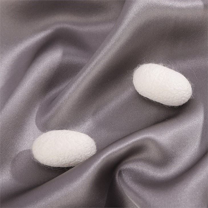 Silk Fabrics
